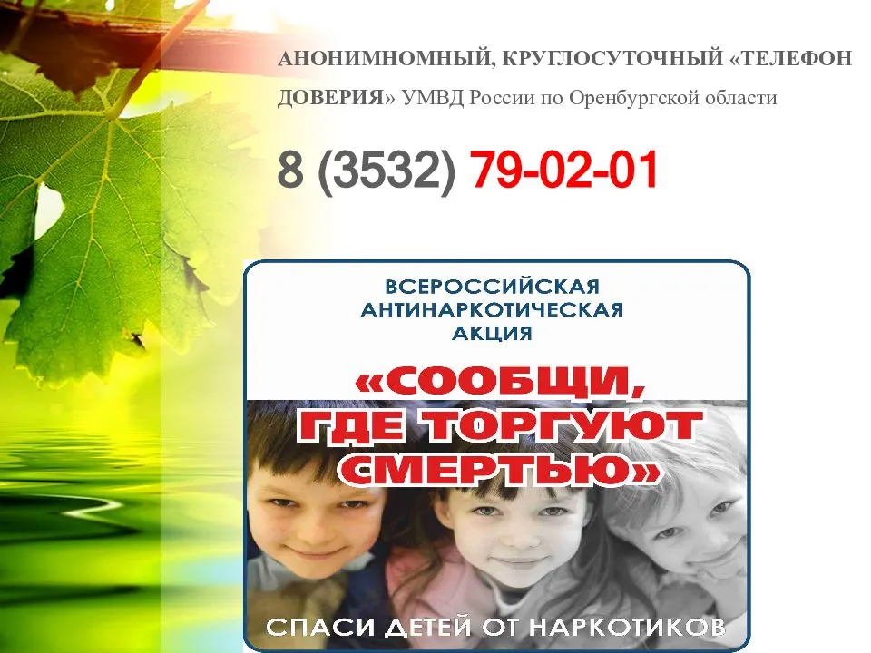 32222222222222222222.jpg