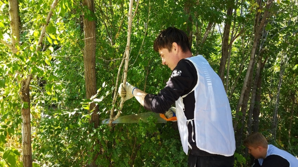 03.jpg