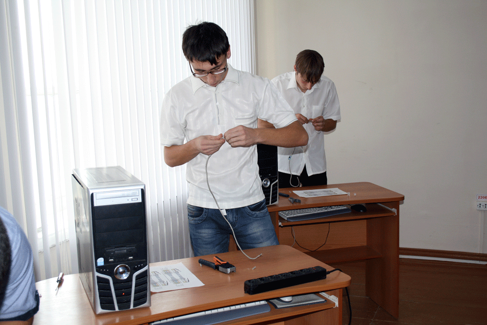 5.gif